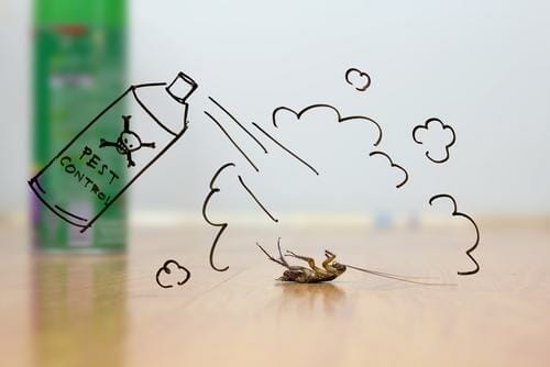 スペイン文化に見られる鮮やかな色とパターンからインスピレーションを得た、木の床に描かれた虫の絵。 スペイン文化に見られる鮮やかな色とパターンからインスピレーションを得た、木の床に描かれた虫の絵。