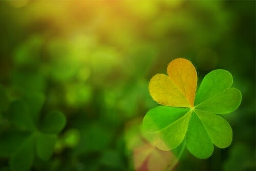 聖パトリックの日 - スペイン。 聖パトリックの日 - スペイン。